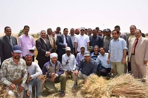 رئيس جامعة سوهاج يشارك في حصاد 22 فدان قمح بمزرعة الجامعة.