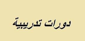 دورات تدريبية في التنمية السياسية