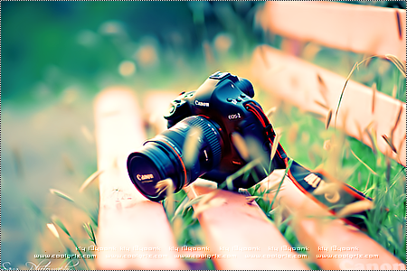 مسابقة التصوير الفوتوغرافى على مستوى الجامعات المصرية